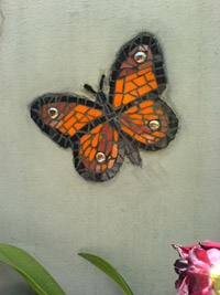 papillon_terrasse